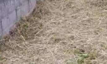 Imagem 2: Terreno para venda em Unamar/Cabo Frio RJ