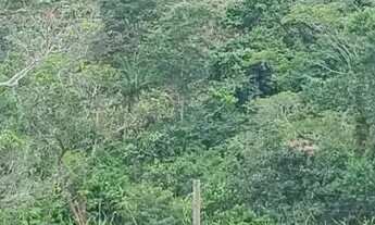 Imagem 6: Chácara de 7 Alqueires em Heitoraí-GO