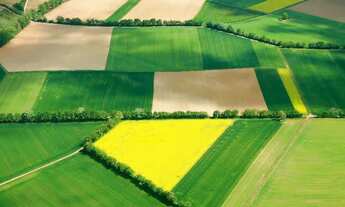 Imagem: Lote 220m loteamento Dom Bosco em C. Lafaiete