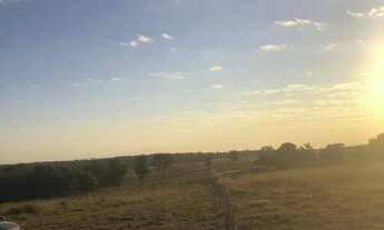 Imagem 4: Fazenda à venda entre Bom Jardim e Aragarças/GO 110,5 Alqueires