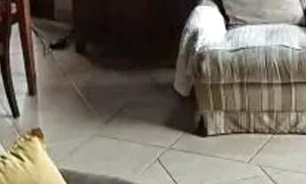 Imagem 4: CASA EM CONDOMÍNIO - CONDOMÍNIO TERRAS DE SÃO FRANCISCO - SP