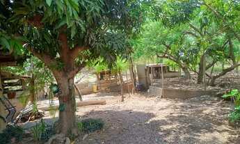 Imagem 4: Vendo sítio ou troco por casa na cidade Cuiabá