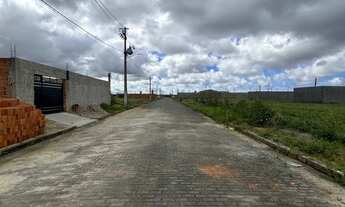 Imagem 3: Lote 7x20 Loteamento Colorado Forene