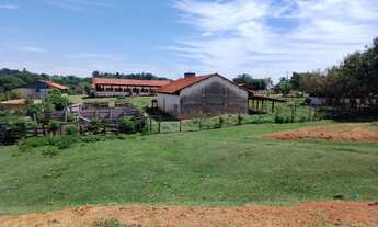 Imagem 4: Vende-se Granja de Frangos em Elias Fausto