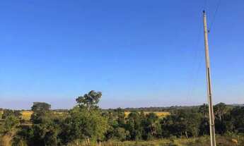 Imagem 5: Fazenda à venda entre Bom Jardim e Aragarças/GO 110,5 Alqueires
