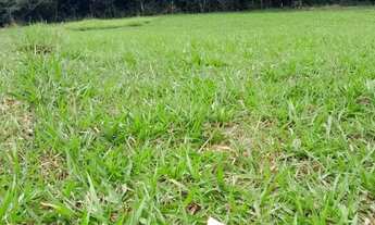 Imagem 3: Vende-se Terreno no Bairro Cristal Mairinque/SP