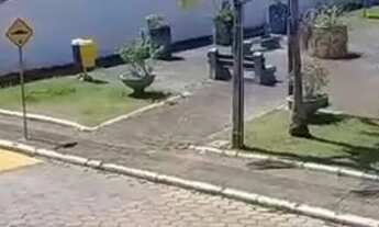 Imagem 4: Apartamento mobiliado no São João-Itajaí