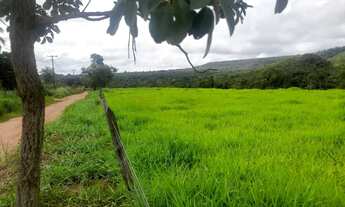 Imagem 2: Fazenda chácara granja confinamento Planaltina DF