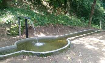 Imagem 6: Casa de roça na Serra de Bertholdo ,Japuiba