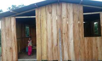 Imagem 4: Roça de cacau Fazenda / sítio com venda por R$85.000