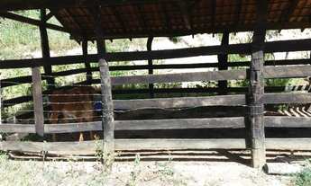 Imagem 3: Terreno de 9,7 alqueires