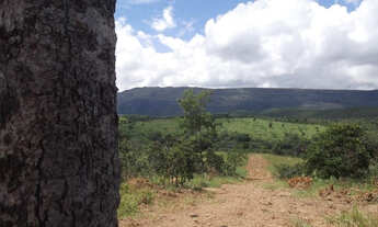 Imagem 7: Lindas fazendinhas de 20 mil metros, Serra do Cipó (Temos mais opções