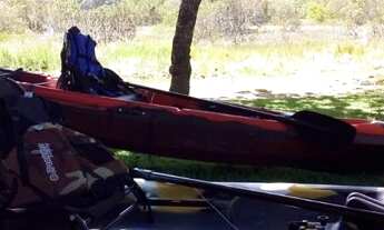 Imagem 6: Japaratinga para carnaval