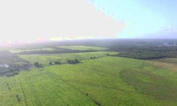 Imagem 4: R$2 milhões 100 hectares nas margens da Pa há 58 km de Castanhal