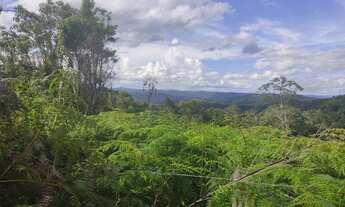 Imagem 5: Chácara 20.000 m² em Campo Largo