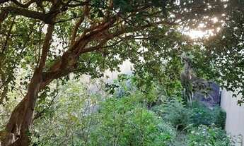 Imagem 3: Porto Alegre - Terreno Padrão - Rio Branco