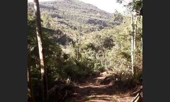 Imagem 2: Chácara com Riacho em Rolante, RS