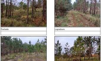 Imagem 2: PONTA GROSSA - CHAPADA - Oportunidade Única em PONTA GROSSA - PR | Tipo: Terreno