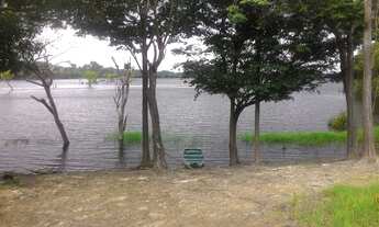 Imagem 6: Sítio no Lago do Juma, Autazes-Am