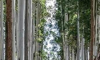 Imagem 3: Vendendo Terreno de 450m² em ITAÍ no Riviera de Santa Cristina III