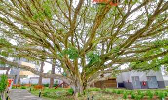 Imagem 3: Apartamento Padrão para Venda em Camaquã Porto Alegre-RS - 1266