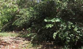 Imagem 5: Terreno ótimo preço na Praia de Pipa