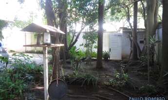 Imagem 3: SOBRADO - ALTO DE PINHEIROS - SP