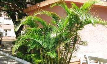 Imagem 5: Apartamento em Tristeza