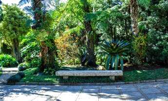 Imagem 4: Casa com 12 dormitórios à venda, 523 m² por R$ 2.390.000,00 - Pimenteiras - Teresópolis/RJ