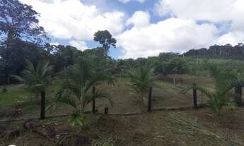 Imagem 2: Valor Sítio BR 174 km 202 ramal do Robertinho