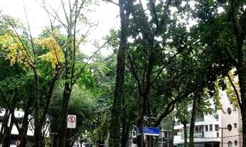 Imagem 2: ÓTIMO APARTMENTO EM REGIÃO NOBRE DO BAIRRO