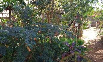 Imagem 7: Casa - Cidade Jardim I - Americana