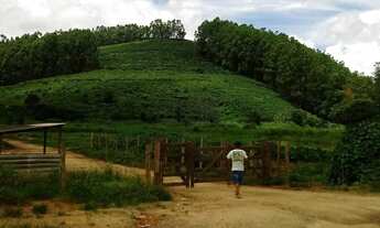 Imagem 6: Fazenda à venda 210M², ÁREA RURAL DE COLATINA, COLATINA - ES