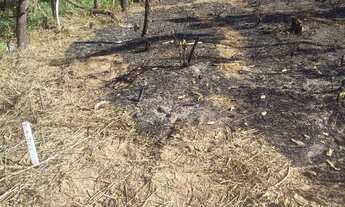 Imagem 5: Chacaras em local tranquilo