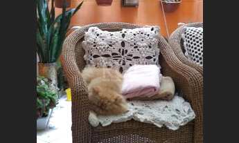 Imagem 7: Porto Alegre - Apartamento Padrão - Cristo Redentor