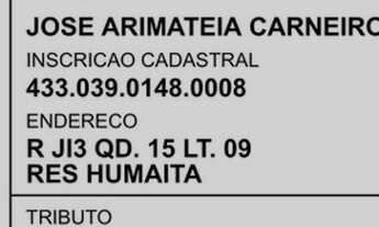 Imagem 3: Lote 300 m2 residencial Humaitá