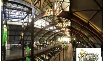 Imagem 7: ALUGA-SE GALPÃO ALTISSIMO PADRAO