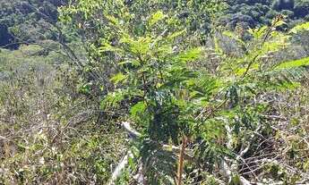 Imagem 6: Terreno no alto de buzios 500 mt cuadrado