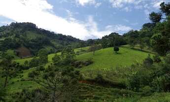 Imagem: Excelente TERRAS em Gonçalves- MG - RURAL