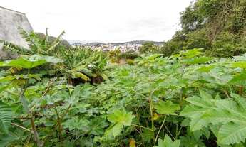 Imagem 5: Porto Alegre - Terreno Padrão - Vila Assunção