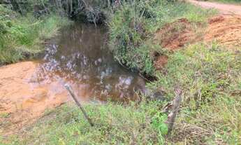 Imagem 2: Sítio / Chácara para Venda em Camaçari, Barra Do Pojuca