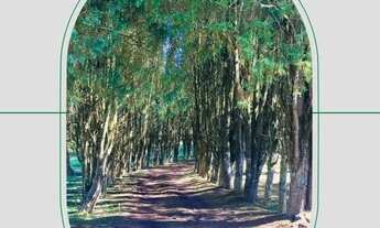 Imagem: Compre seu lote sem burocracia a partir