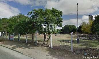 Imagem 5: Porto Alegre - Terreno Padrão - Floresta