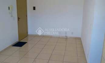 Imagem 5: GRAVATAí - Padrão - Passos dos Ferreiros