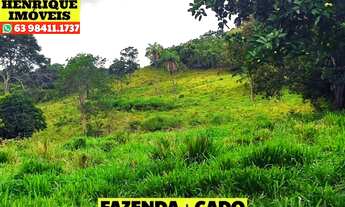 Imagem: Fazenda 216 hectares em Luzimangues