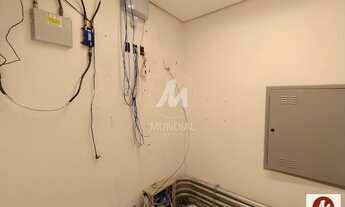 Imagem 6: Casa (térrea na rua) 99 dormitórios