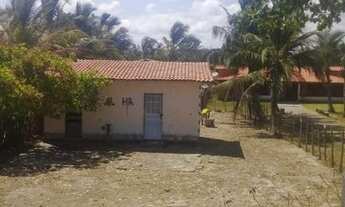 Imagem 4: Lote na Praia do Coqueiro, Luis Correia, Piauí