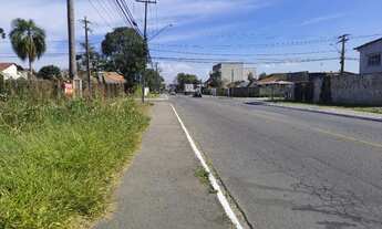 Imagem 5: ÁREA EM PINHAIS