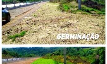 Imagem 6: Grama Líquida ?VERDETEC ?