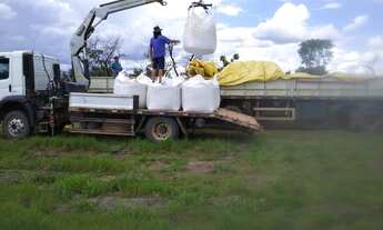 Imagem 3: Fazenda Município Mambai - GO